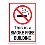 This is a Smoke Free Building - Decal